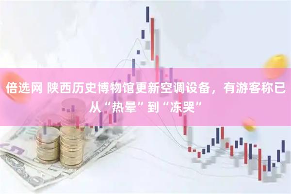 倍选网 陕西历史博物馆更新空调设备，有游客称已从“热晕”到“冻哭”